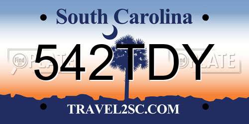 542TDY South Carolina License Plate