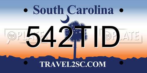 542TID South Carolina License Plate