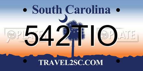 542TIO South Carolina License Plate