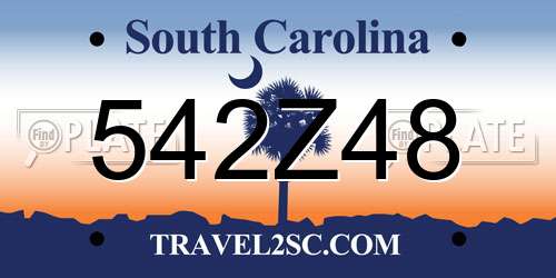 542Z48 South Carolina License Plate