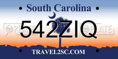 542ZIQ South Carolina License Plate