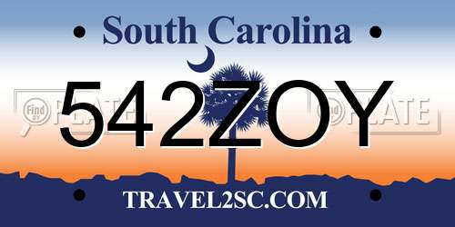 542ZOY South Carolina License Plate