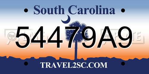 54479A9 South Carolina License Plate