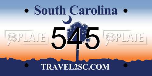 545 South Carolina License Plate