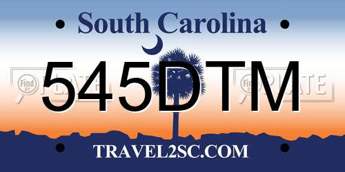 545DTM South Carolina License Plate