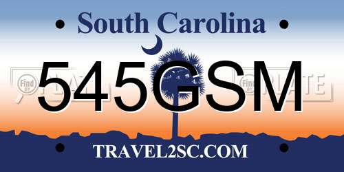 545GSM South Carolina License Plate