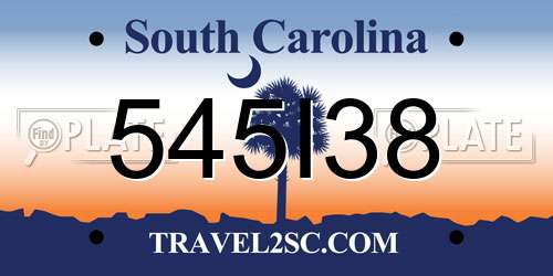 545I38 South Carolina License Plate