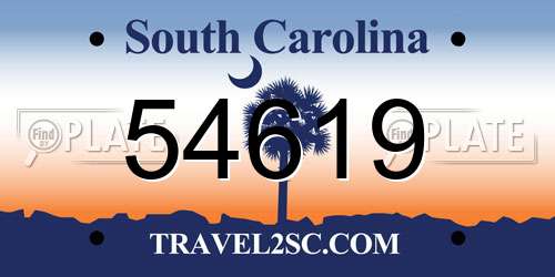 54619 South Carolina License Plate