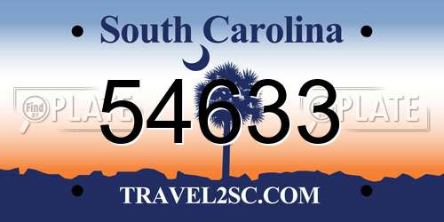 54633 South Carolina License Plate