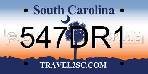 547DR1 South Carolina License Plate