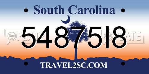 54875I8 South Carolina License Plate