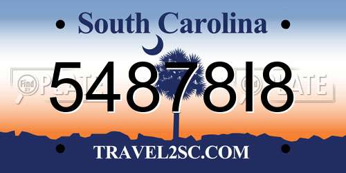 54878I8 South Carolina License Plate