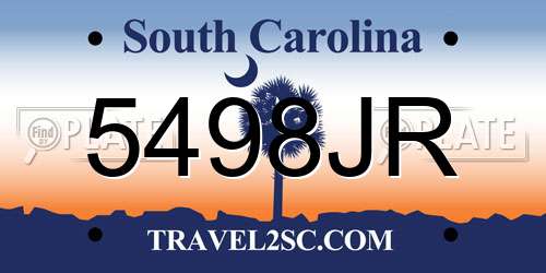5498JR South Carolina License Plate