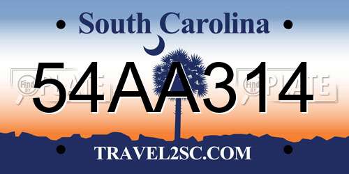 54AA314 South Carolina License Plate