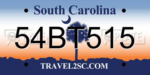 54BT515 South Carolina License Plate