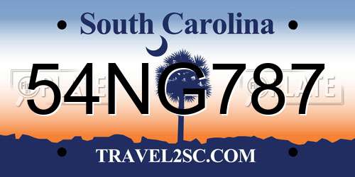 54NG787 South Carolina License Plate