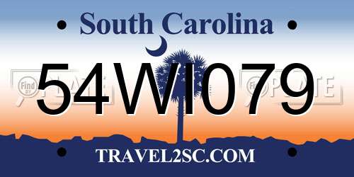 54WI079 South Carolina License Plate