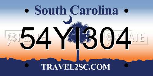54YI304 South Carolina License Plate