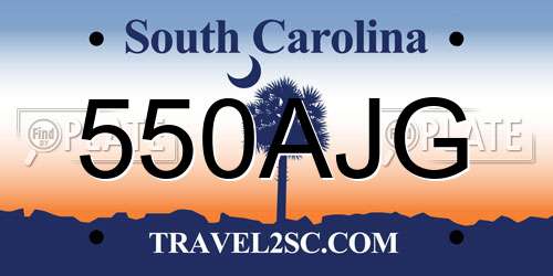 550AJG South Carolina License Plate