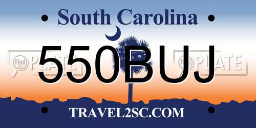 550BUJ South Carolina License Plate