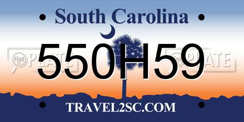 550H59 South Carolina License Plate