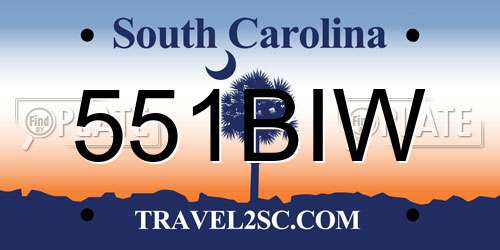 551BIW South Carolina License Plate