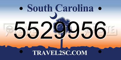 5529956 South Carolina License Plate