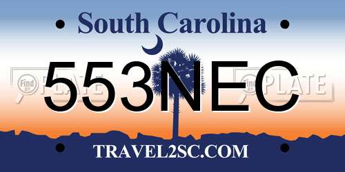 553NEC South Carolina License Plate