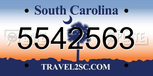 5542563 South Carolina License Plate