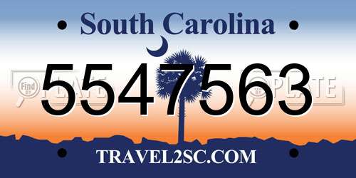 5547563 South Carolina License Plate