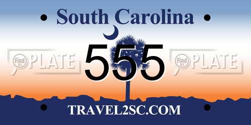 555 South Carolina License Plate
