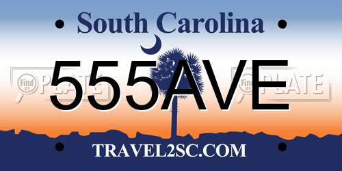 555AVE South Carolina License Plate