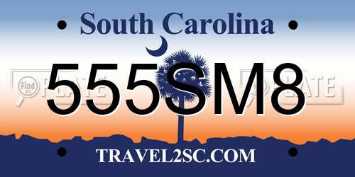 555SM8 South Carolina License Plate