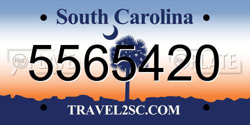 5565420 South Carolina License Plate