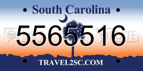 5565516 South Carolina License Plate