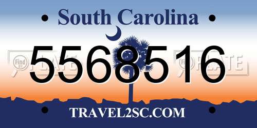 5568516 South Carolina License Plate