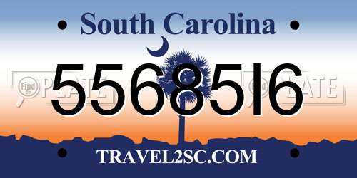 55685I6 South Carolina License Plate