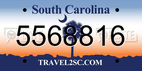 5568816 South Carolina License Plate