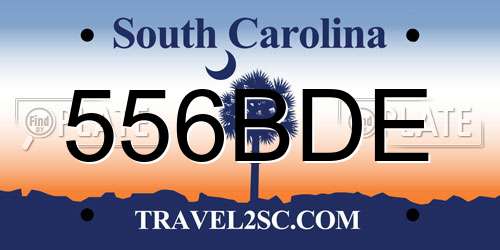 556BDE South Carolina License Plate