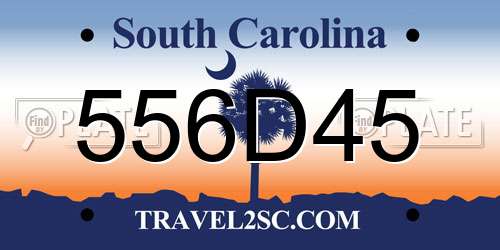556D45 South Carolina License Plate