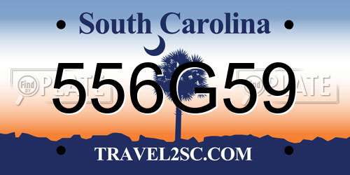 556G59 South Carolina License Plate