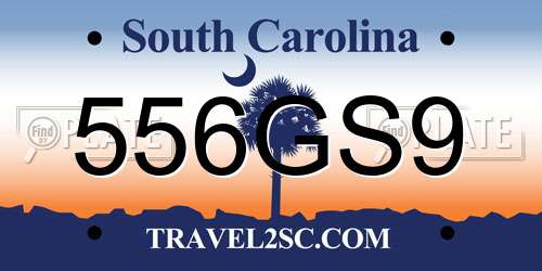 556GS9 South Carolina License Plate