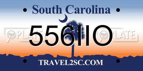 556IIO South Carolina License Plate