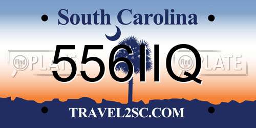 556IIQ South Carolina License Plate