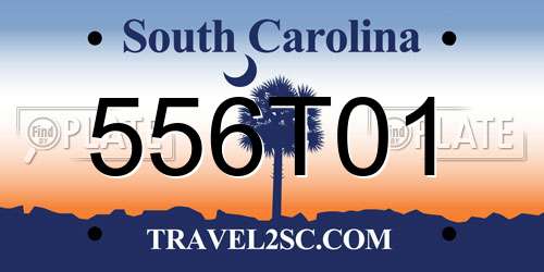 556T01 South Carolina License Plate