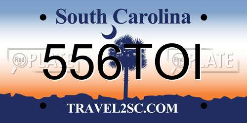 556TOI South Carolina License Plate