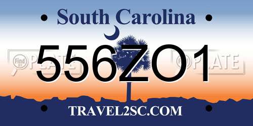 556ZO1 South Carolina License Plate