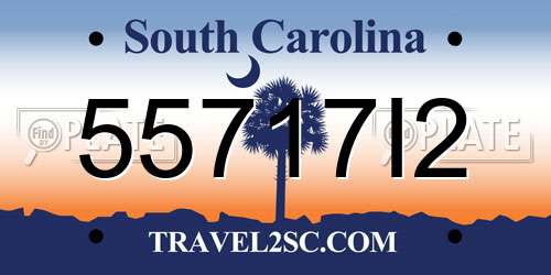 55717I2 South Carolina License Plate