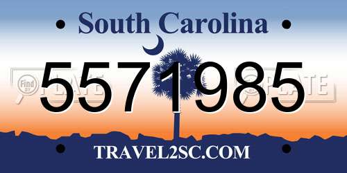 5571985 South Carolina License Plate