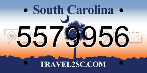 5579956 South Carolina License Plate